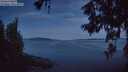 ./images/koeye/fitz-hugh/20260614/fitz-hugh20260614_042001M.jpg