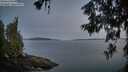 ./images/koeye/fitz-hugh/20260614/fitz-hugh20260614_044502M.jpg