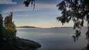 ./images/koeye/fitz-hugh/20260614/fitz-hugh20260614_061001M.jpg