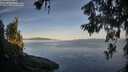 ./images/koeye/fitz-hugh/20260614/fitz-hugh20260614_062001M.jpg