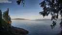 ./images/koeye/fitz-hugh/20260614/fitz-hugh20260614_064501M.jpg