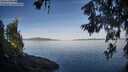 ./images/koeye/fitz-hugh/20260614/fitz-hugh20260614_070502M.jpg