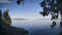 ./images/koeye/fitz-hugh/20260614/fitz-hugh20260614_071001M.jpg