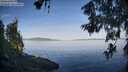 ./images/koeye/fitz-hugh/20260614/fitz-hugh20260614_071501M.jpg