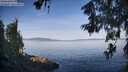 ./images/koeye/fitz-hugh/20260614/fitz-hugh20260614_073501M.jpg