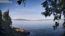 ./images/koeye/fitz-hugh/20260614/fitz-hugh20260614_074001M.jpg