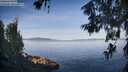 ./images/koeye/fitz-hugh/20260614/fitz-hugh20260614_074501M.jpg