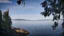 ./images/koeye/fitz-hugh/20260614/fitz-hugh20260614_075001M.jpg