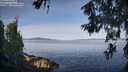 ./images/koeye/fitz-hugh/20260614/fitz-hugh20260614_080501M.jpg
