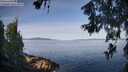./images/koeye/fitz-hugh/20260614/fitz-hugh20260614_081001M.jpg