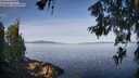 ./images/koeye/fitz-hugh/20260614/fitz-hugh20260614_082001M.jpg