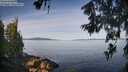 ./images/koeye/fitz-hugh/20260614/fitz-hugh20260614_083002M.jpg