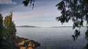 ./images/koeye/fitz-hugh/20260614/fitz-hugh20260614_083501M.jpg