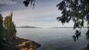 ./images/koeye/fitz-hugh/20260614/fitz-hugh20260614_084001M.jpg