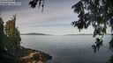 ./images/koeye/fitz-hugh/20260614/fitz-hugh20260614_084501M.jpg