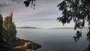 ./images/koeye/fitz-hugh/20260614/fitz-hugh20260614_085002M.jpg
