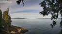 ./images/koeye/fitz-hugh/20260614/fitz-hugh20260614_090501M.jpg