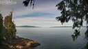 ./images/koeye/fitz-hugh/20260614/fitz-hugh20260614_091001M.jpg