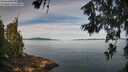 ./images/koeye/fitz-hugh/20260614/fitz-hugh20260614_091501M.jpg