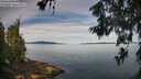 ./images/koeye/fitz-hugh/20260614/fitz-hugh20260614_092001M.jpg