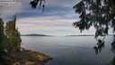 ./images/koeye/fitz-hugh/20260614/fitz-hugh20260614_092501M.jpg