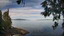 ./images/koeye/fitz-hugh/20260614/fitz-hugh20260614_093001M.jpg