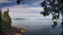 ./images/koeye/fitz-hugh/20260614/fitz-hugh20260614_093501M.jpg