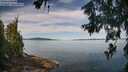 ./images/koeye/fitz-hugh/20260614/fitz-hugh20260614_094001M.jpg