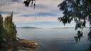 ./images/koeye/fitz-hugh/20260614/fitz-hugh20260614_095001M.jpg