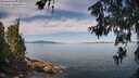 ./images/koeye/fitz-hugh/20260614/fitz-hugh20260614_100001M.jpg