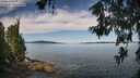 ./images/koeye/fitz-hugh/20260614/fitz-hugh20260614_101002M.jpg