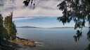 ./images/koeye/fitz-hugh/20260614/fitz-hugh20260614_102501M.jpg