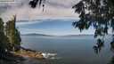 ./images/koeye/fitz-hugh/20260614/fitz-hugh20260614_103002M.jpg