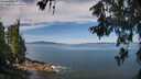 ./images/koeye/fitz-hugh/20260614/fitz-hugh20260614_103501M.jpg