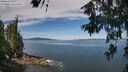 ./images/koeye/fitz-hugh/20260614/fitz-hugh20260614_104001M.jpg