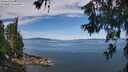 ./images/koeye/fitz-hugh/20260614/fitz-hugh20260614_104501M.jpg