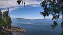 ./images/koeye/fitz-hugh/20260614/fitz-hugh20260614_105001M.jpg