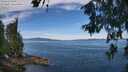 ./images/koeye/fitz-hugh/20260614/fitz-hugh20260614_105501M.jpg