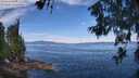 ./images/koeye/fitz-hugh/20260614/fitz-hugh20260614_110001M.jpg