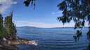 ./images/koeye/fitz-hugh/20260614/fitz-hugh20260614_110501M.jpg