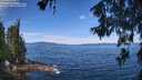 ./images/koeye/fitz-hugh/20260614/fitz-hugh20260614_111002M.jpg