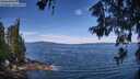 ./images/koeye/fitz-hugh/20260614/fitz-hugh20260614_111501M.jpg