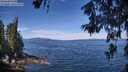 ./images/koeye/fitz-hugh/20260614/fitz-hugh20260614_112502M.jpg