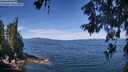 ./images/koeye/fitz-hugh/20260614/fitz-hugh20260614_113002M.jpg
