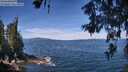 ./images/koeye/fitz-hugh/20260614/fitz-hugh20260614_113501M.jpg