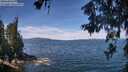 ./images/koeye/fitz-hugh/20260614/fitz-hugh20260614_114501M.jpg