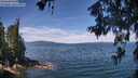 ./images/koeye/fitz-hugh/20260614/fitz-hugh20260614_115002M.jpg