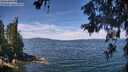 ./images/koeye/fitz-hugh/20260614/fitz-hugh20260614_115502M.jpg