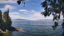 ./images/koeye/fitz-hugh/20260614/fitz-hugh20260614_122501M.jpg
