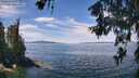 ./images/koeye/fitz-hugh/20260614/fitz-hugh20260614_123001M.jpg